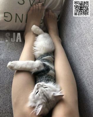 日韩av高潮_超清在线播放观看